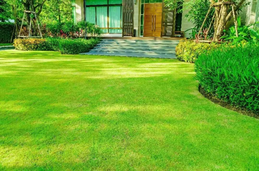 Pelouse tondue et massifs entretenus devant une maison